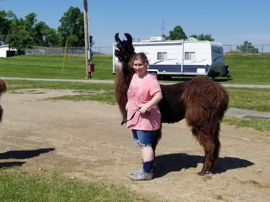 Michaela with one of her llamas. (Photo Credits to Michaela Garltic)