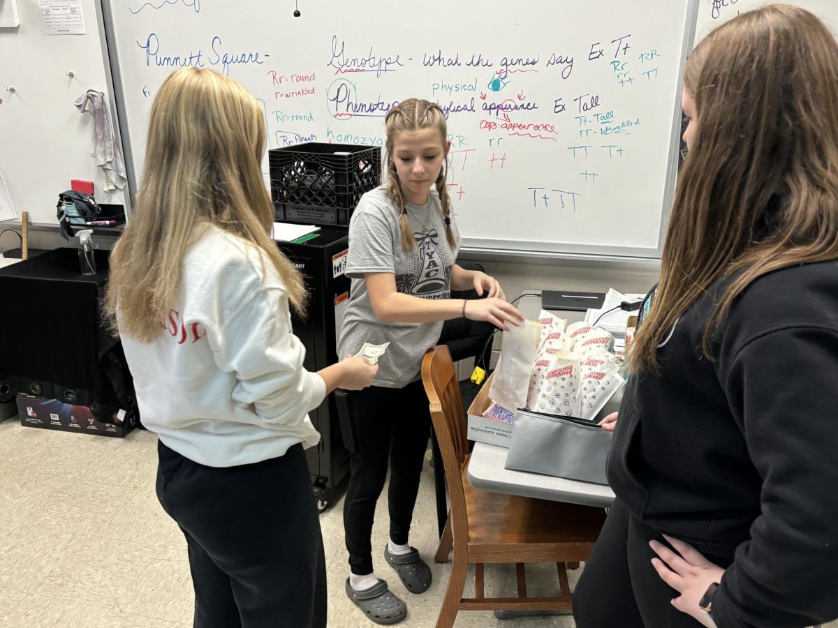 Brooke and Kali selling popcorn!