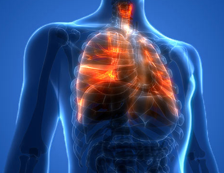 The lungs are the most affected with vaping.