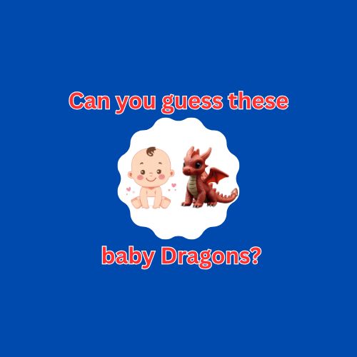 Guess these baby Dragons (Via Canva)