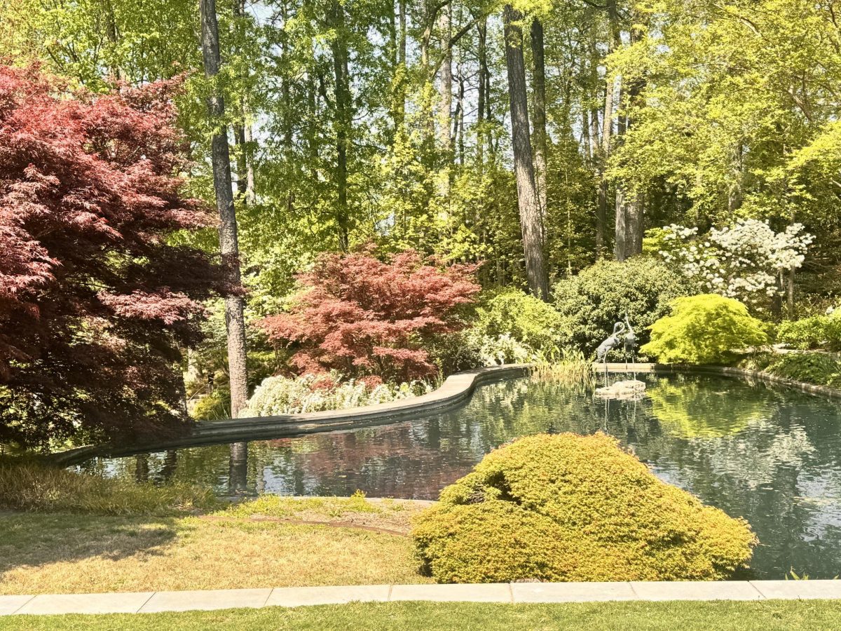 Duke Gardens!
