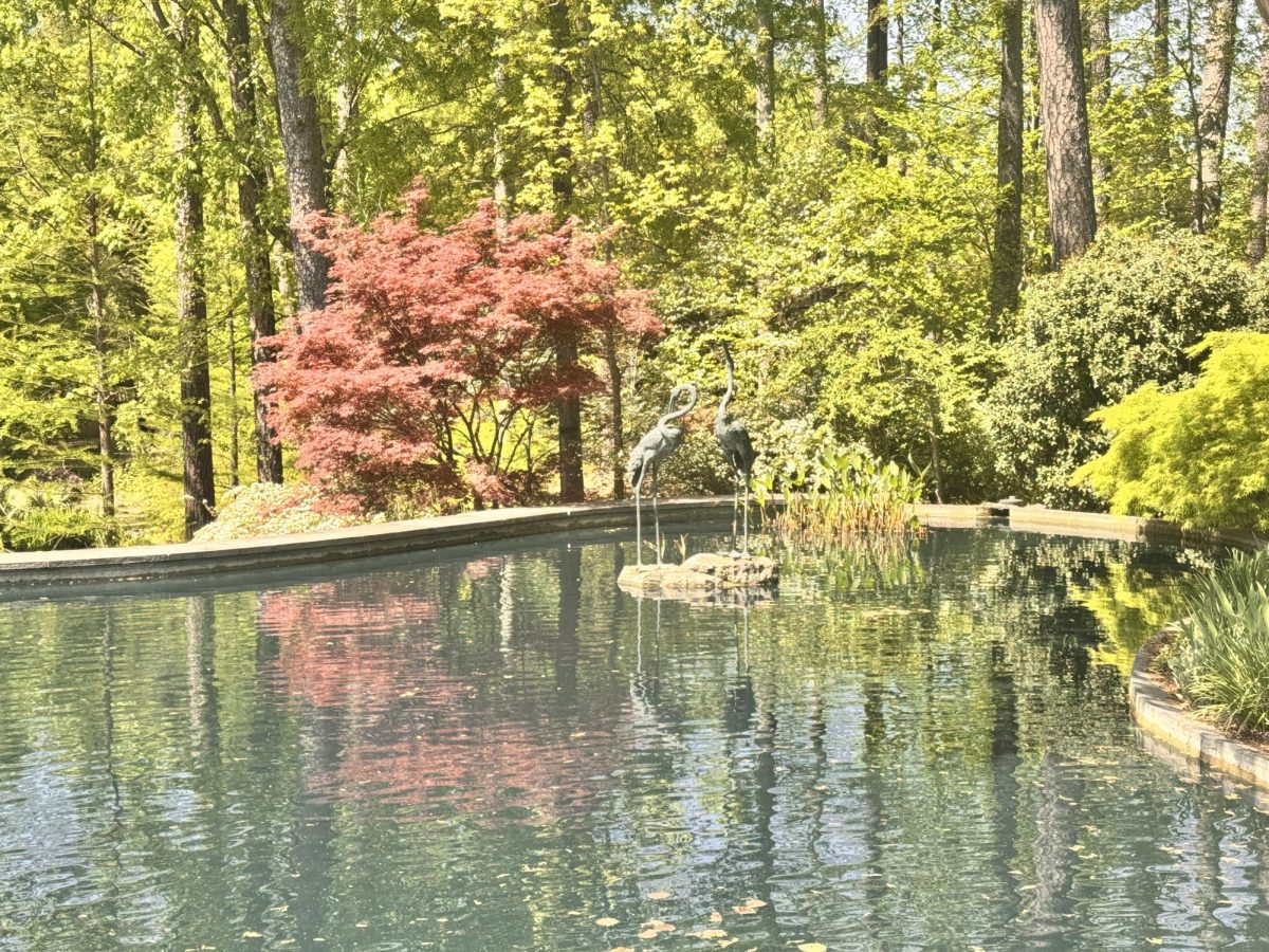 Duke Gardens!